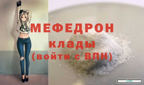 индика Кулебаки