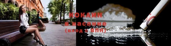 индика Кулебаки