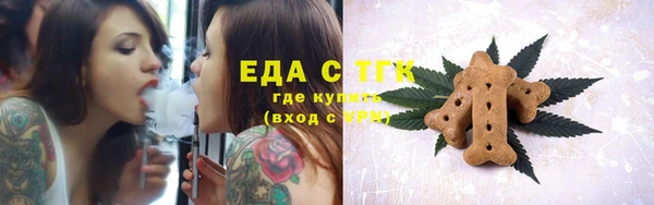 индика Лагань