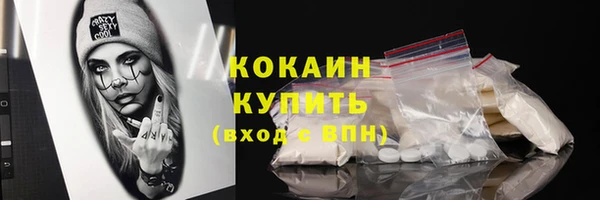 тгк Лиски