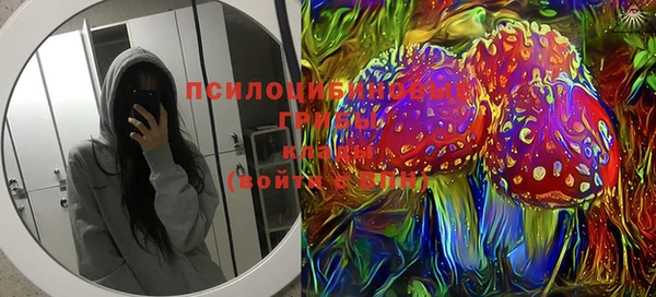 герыч Ладушкин