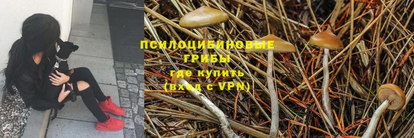 каннабис Лабытнанги