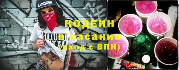 индика Лагань