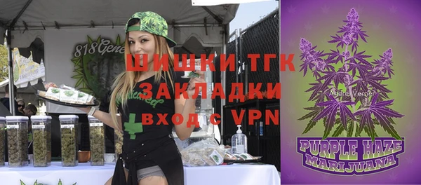 индика Лагань