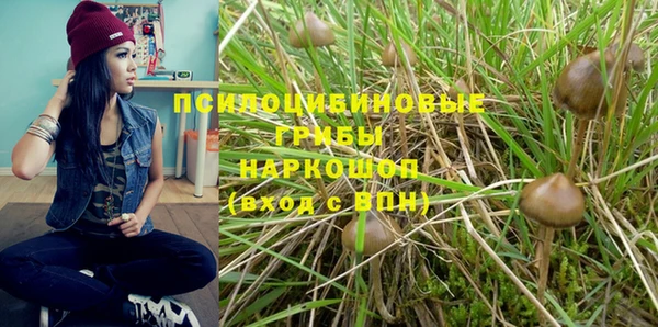каннабис Лабытнанги