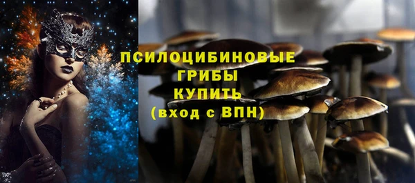 дживик Липки