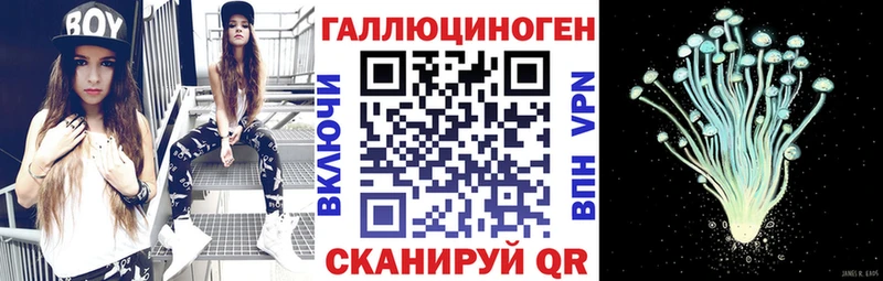 Псилоцибиновые грибы Psilocybe Лангепас